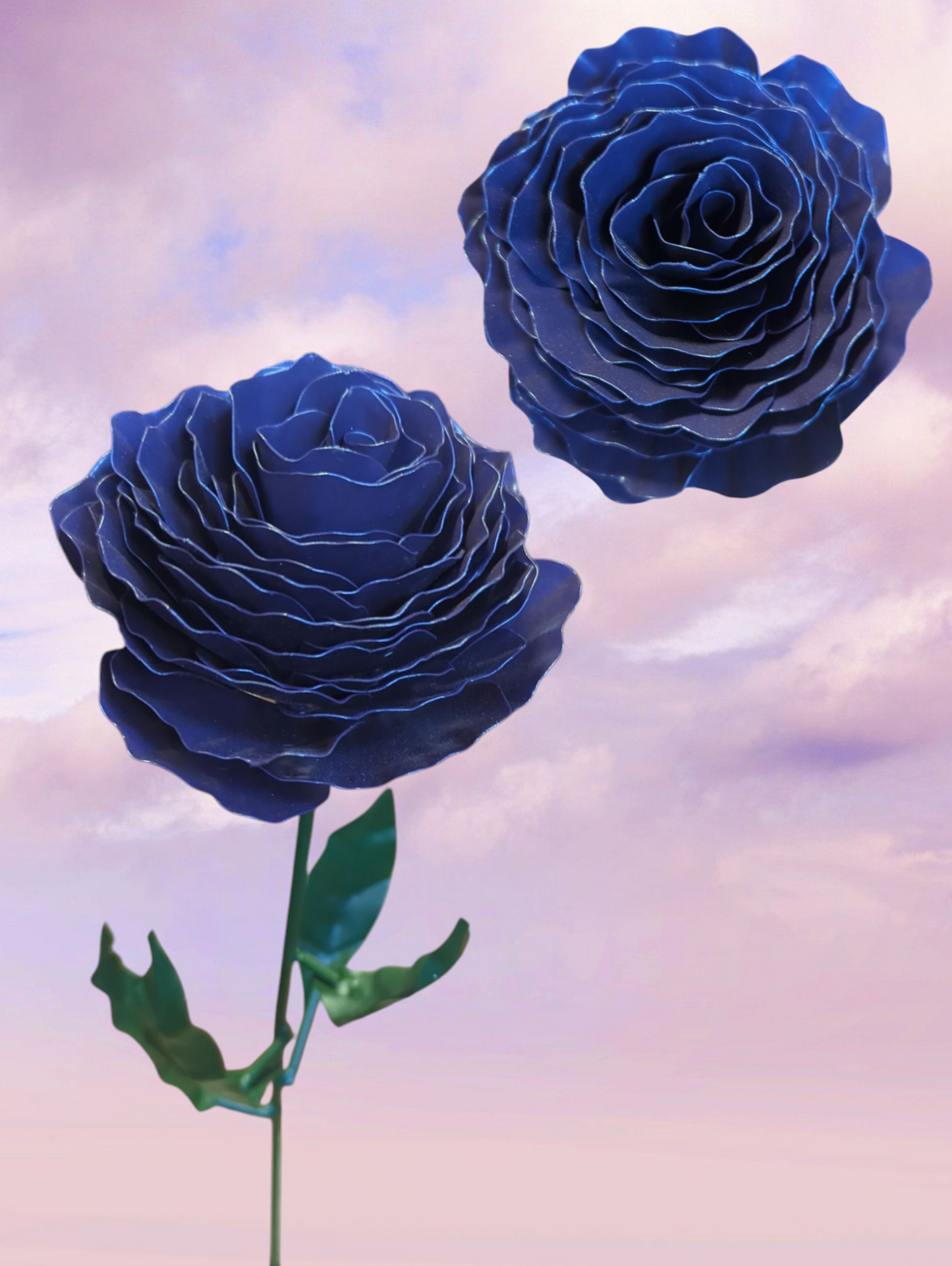 Peony