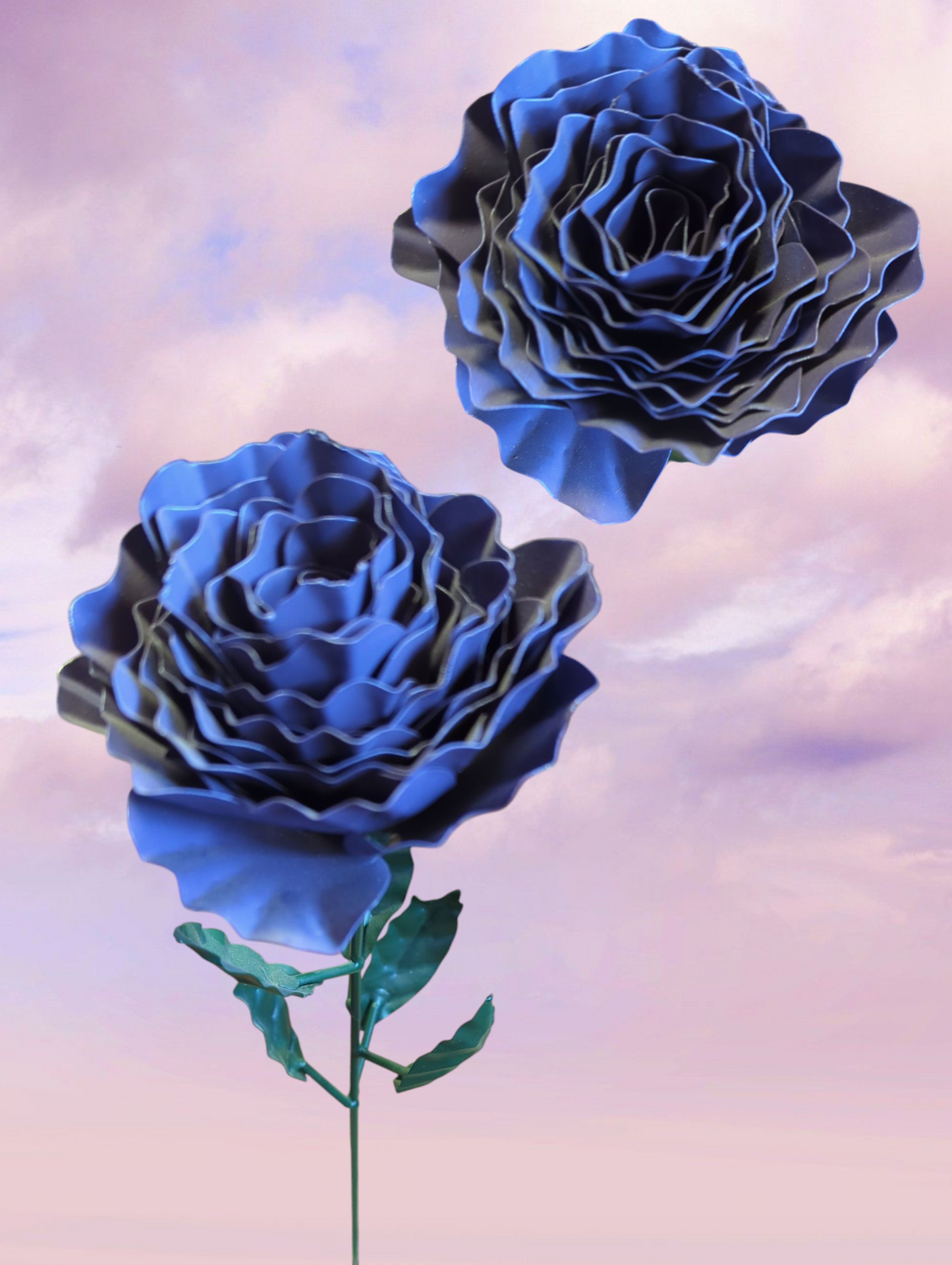 Peony