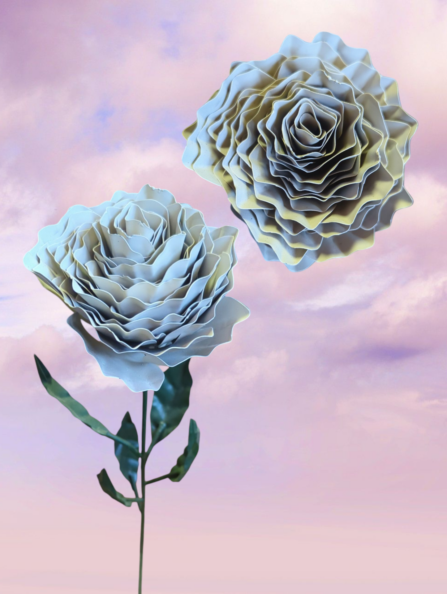 Peony