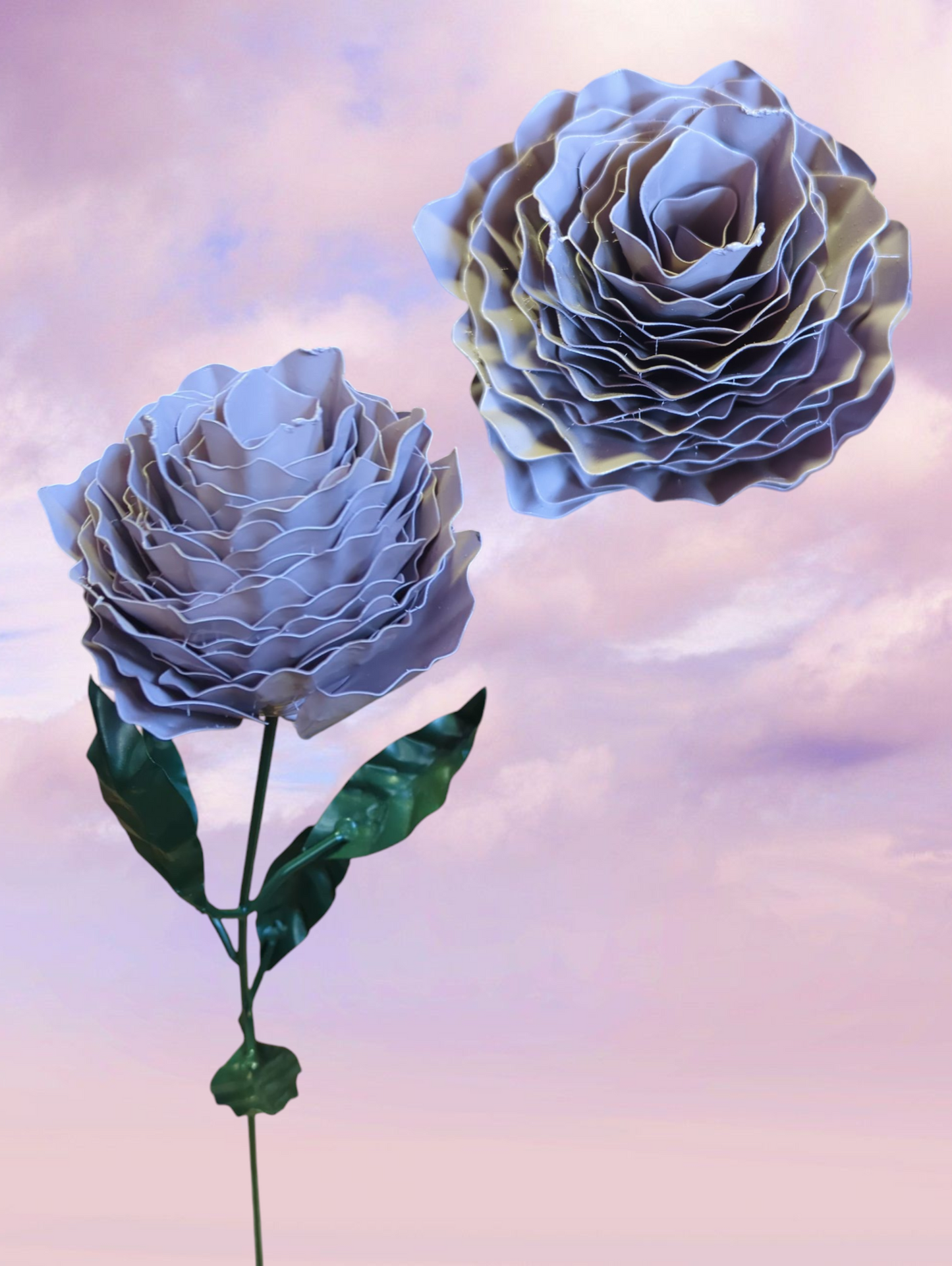 Peony