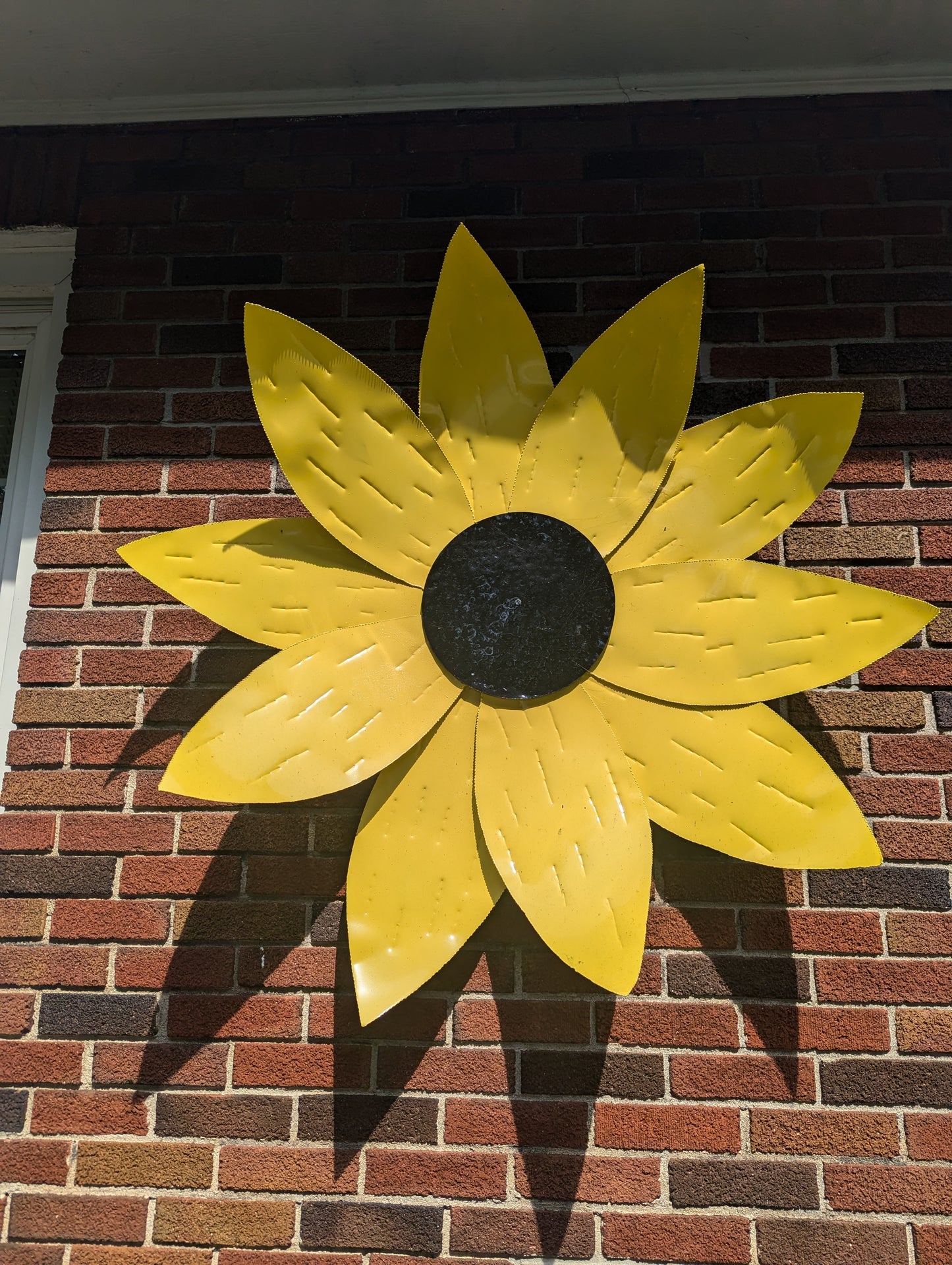 Large Sunflower head