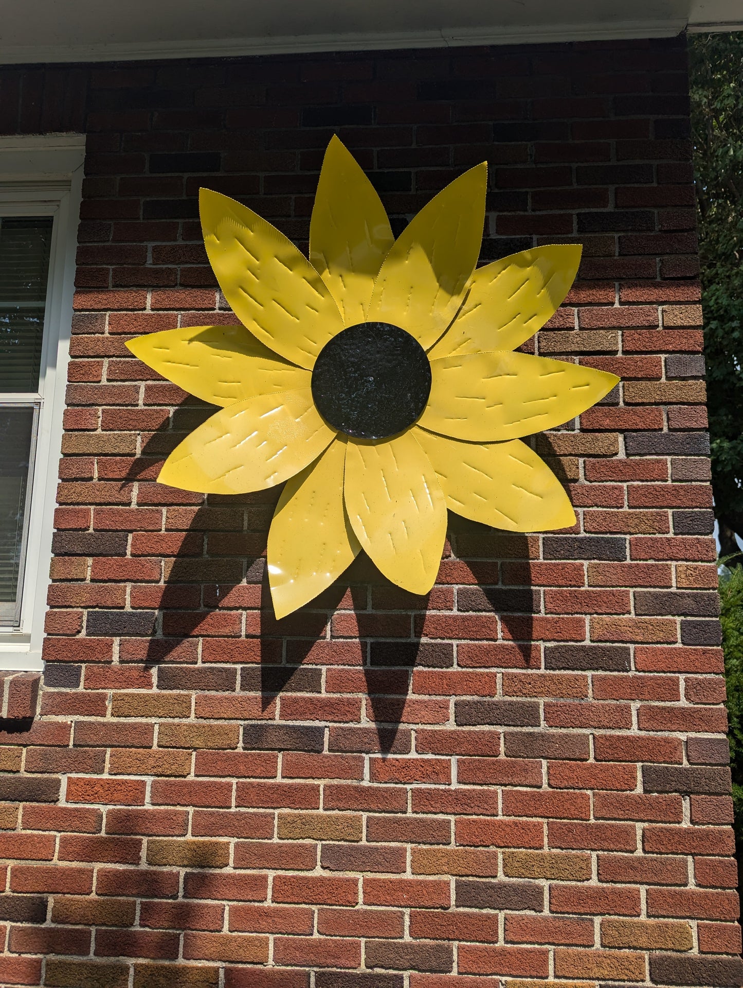 Large Sunflower head