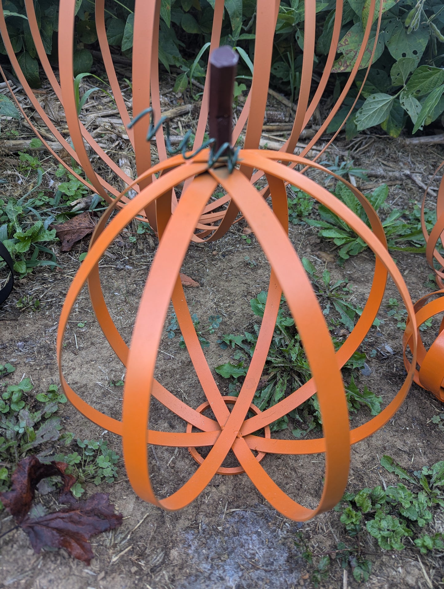 Medium Pumpkin