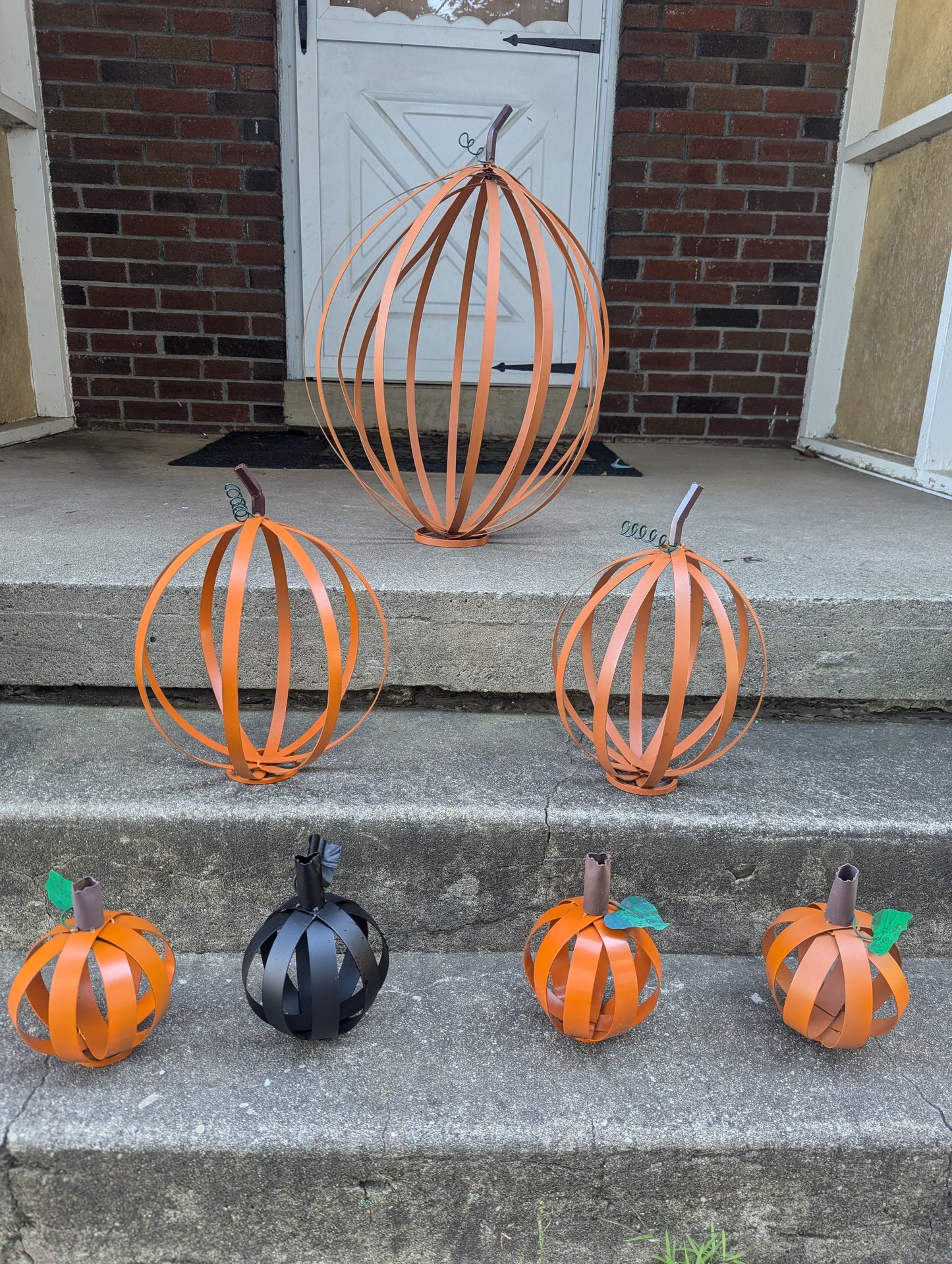 Medium Pumpkin