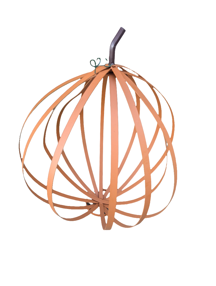 Large Pumpkin