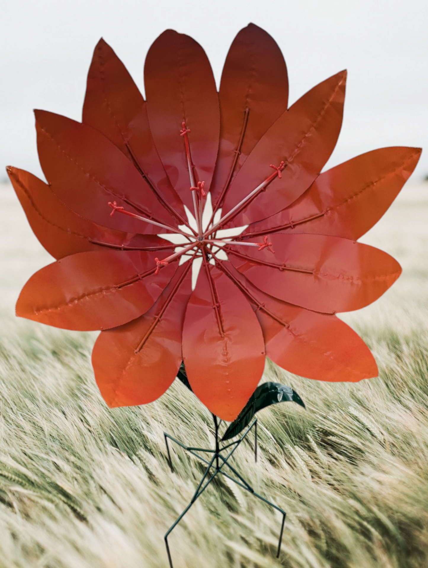 Lorelai Flower