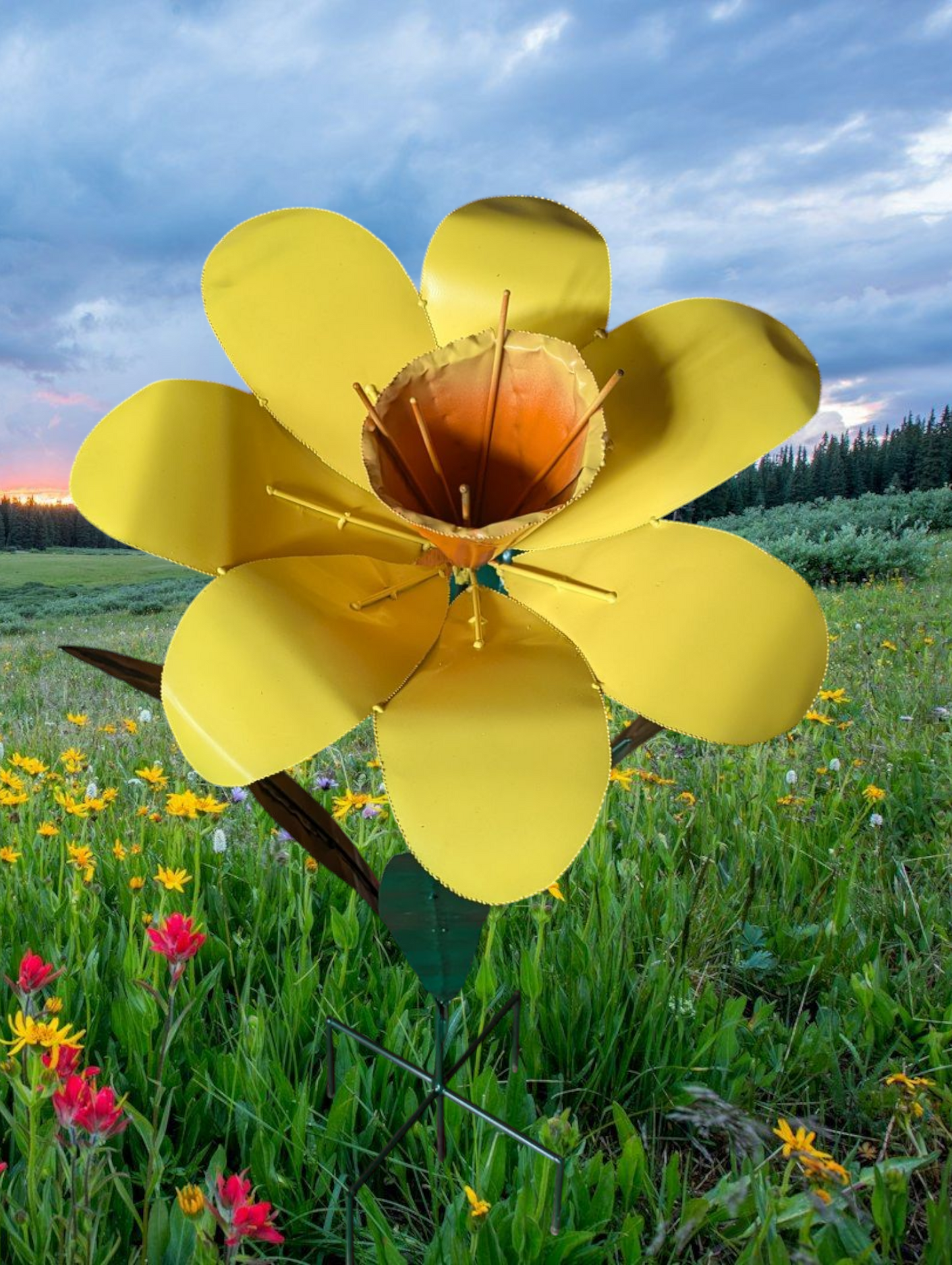Daffodils