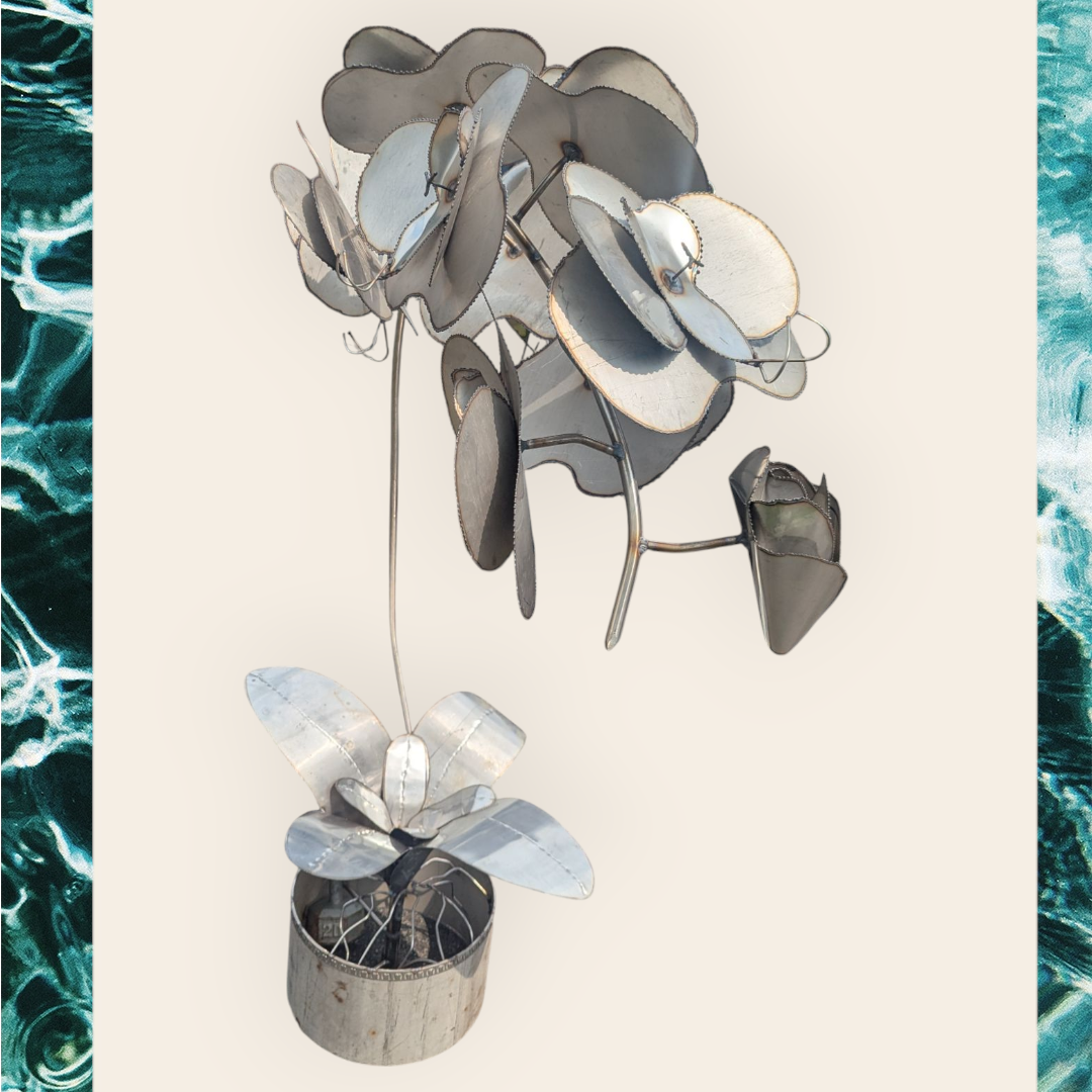 Orchid