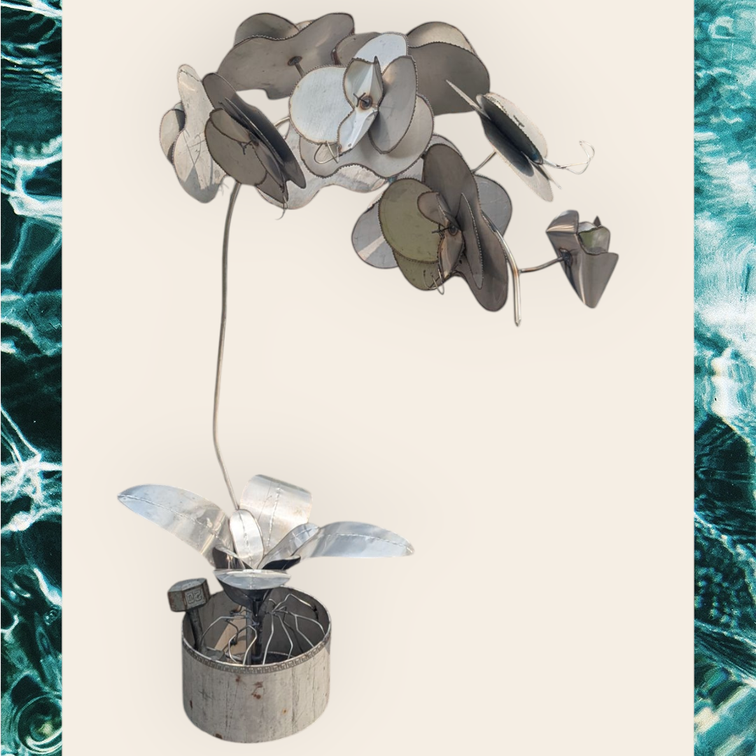 Orchid