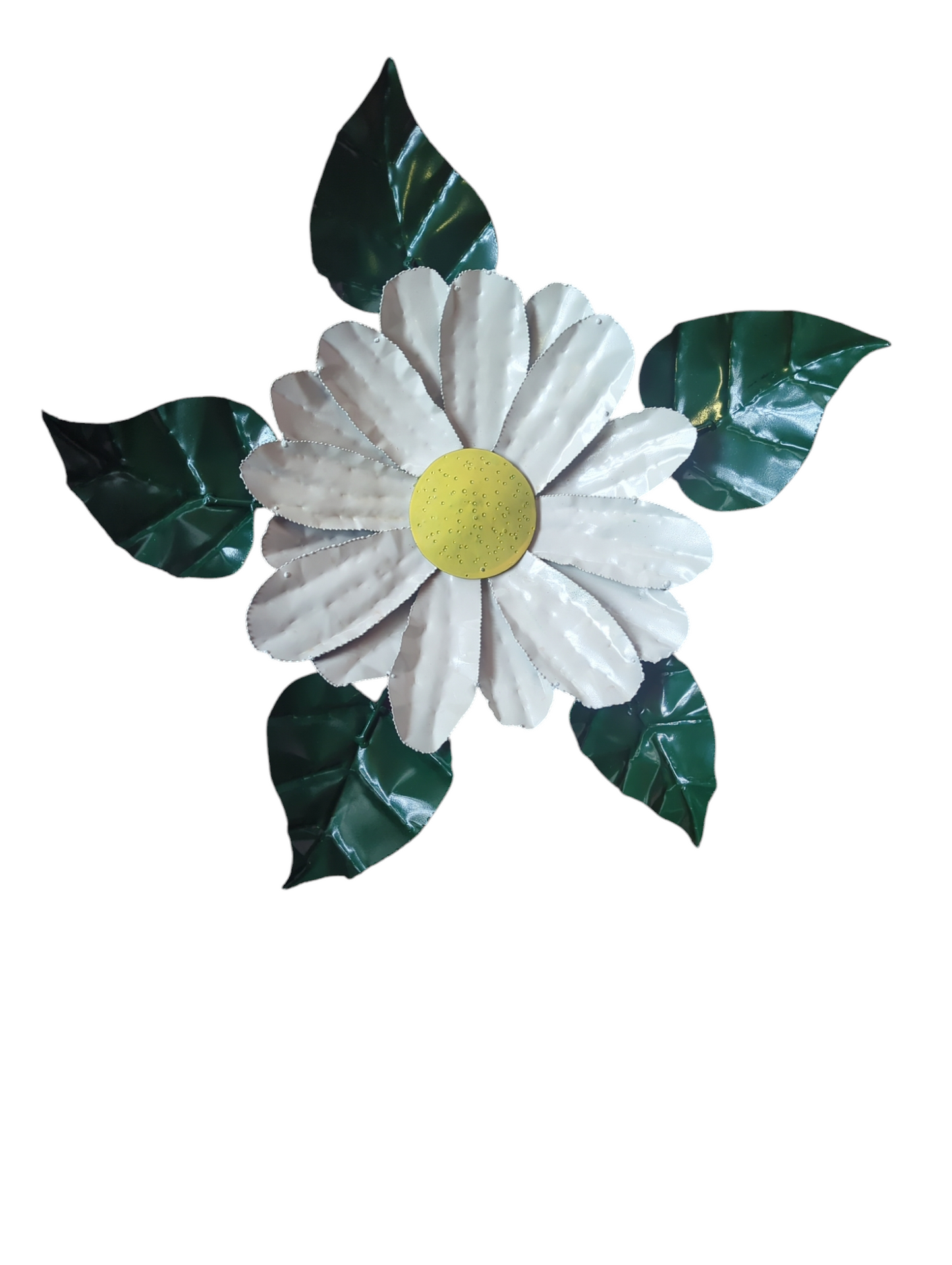 Daisy Head