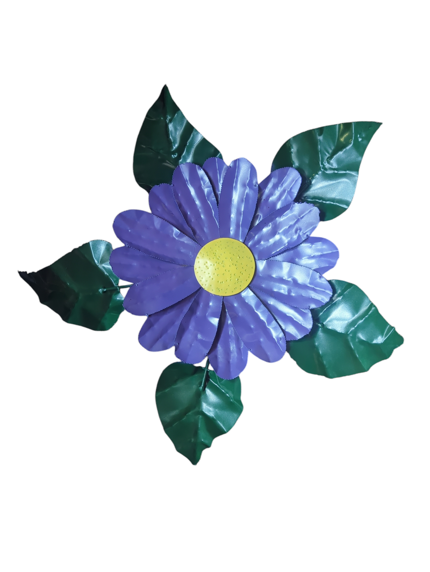 Daisy Head