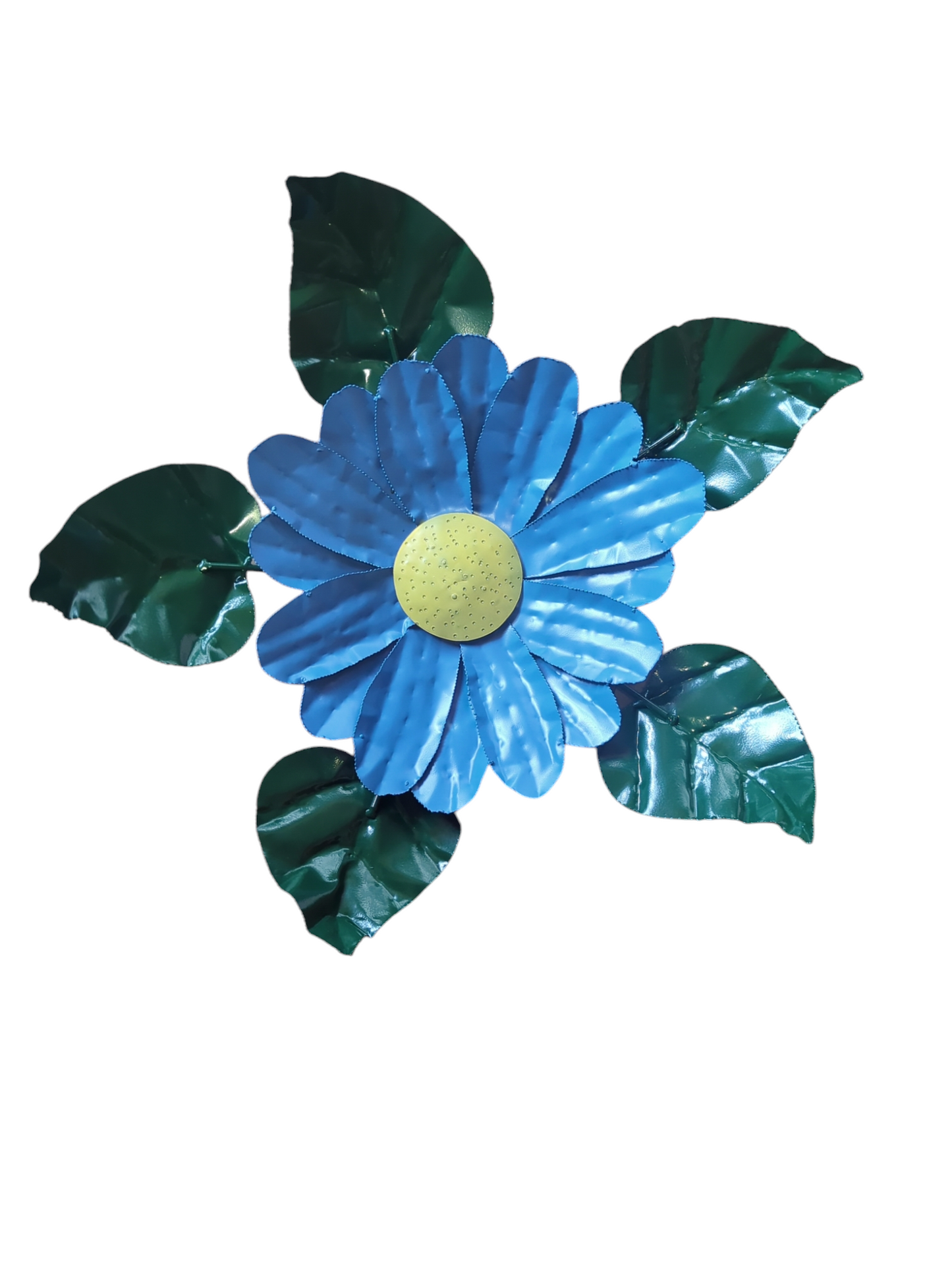 Daisy Head