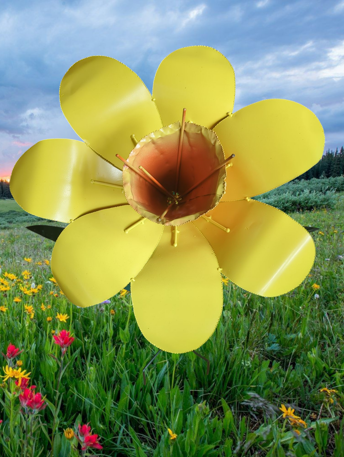 Daffodils
