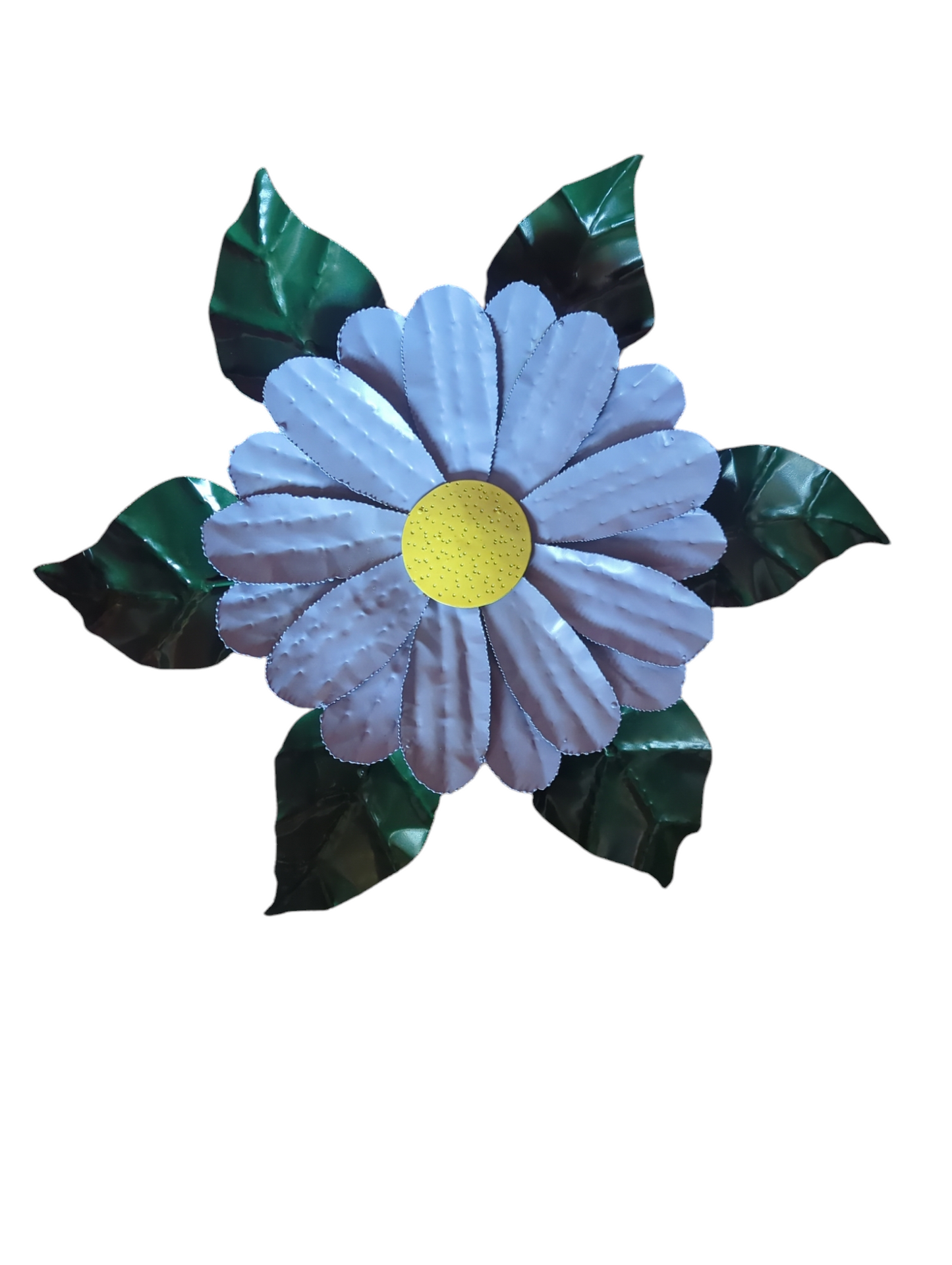 Daisy Head