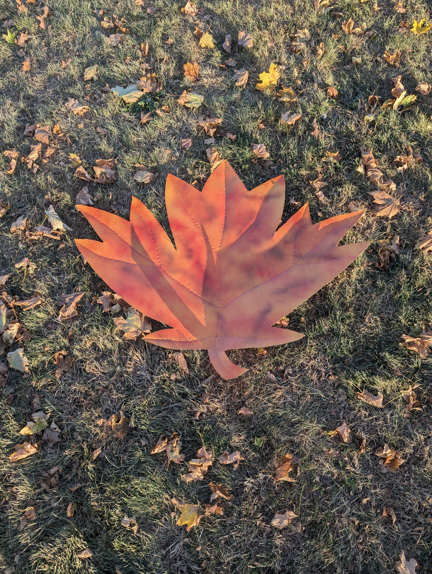 Large Leaf