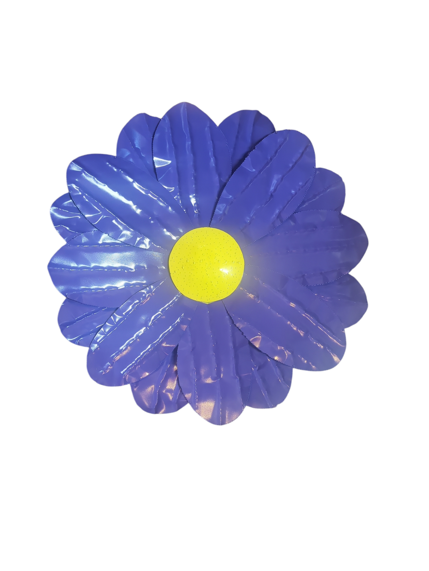 Daisy Head