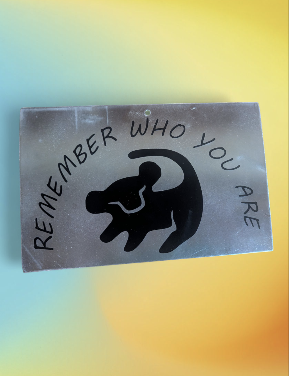 Lion King Plaques