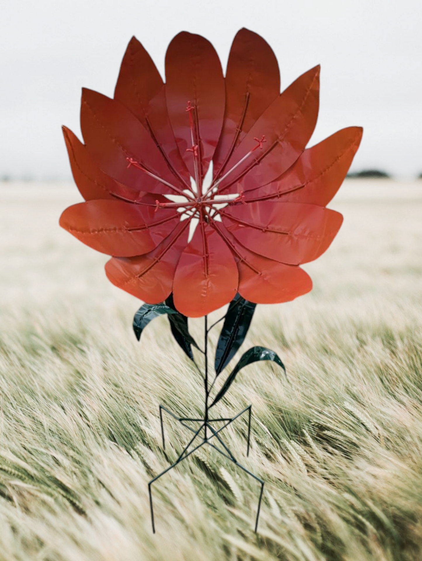 Lorelai Flower