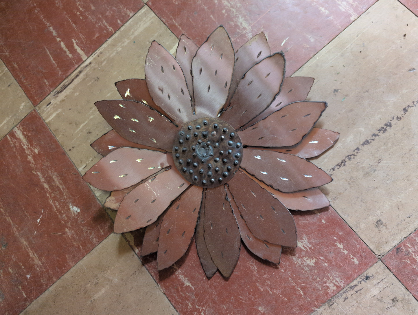 Sunflower head