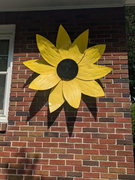 Large Sunflower head