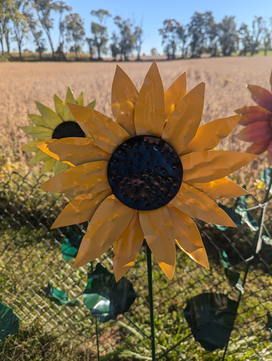 5' Sunflower - 02