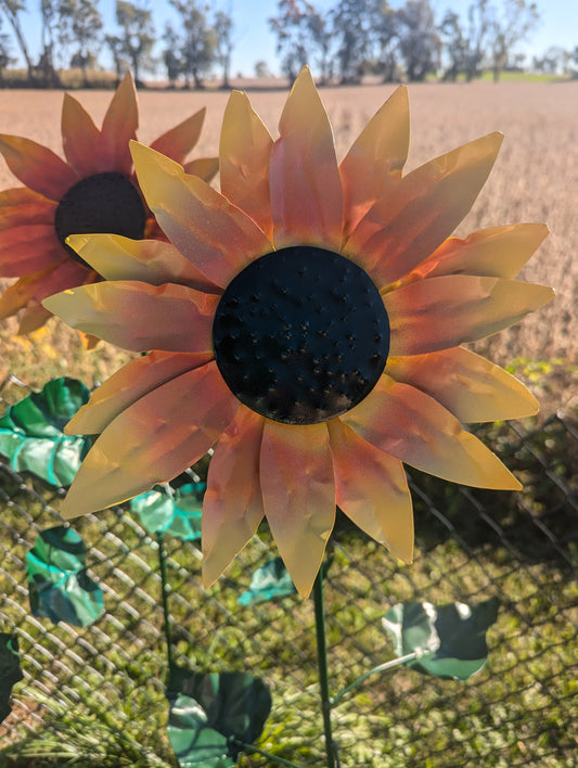 5' Sunflower - 00