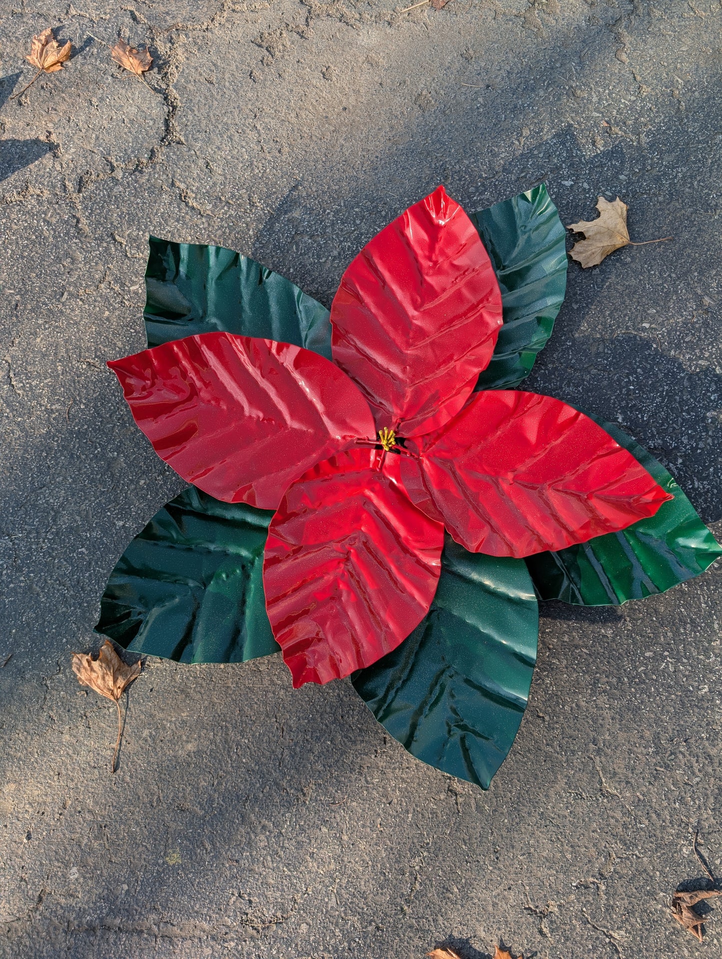 Poinsettia
