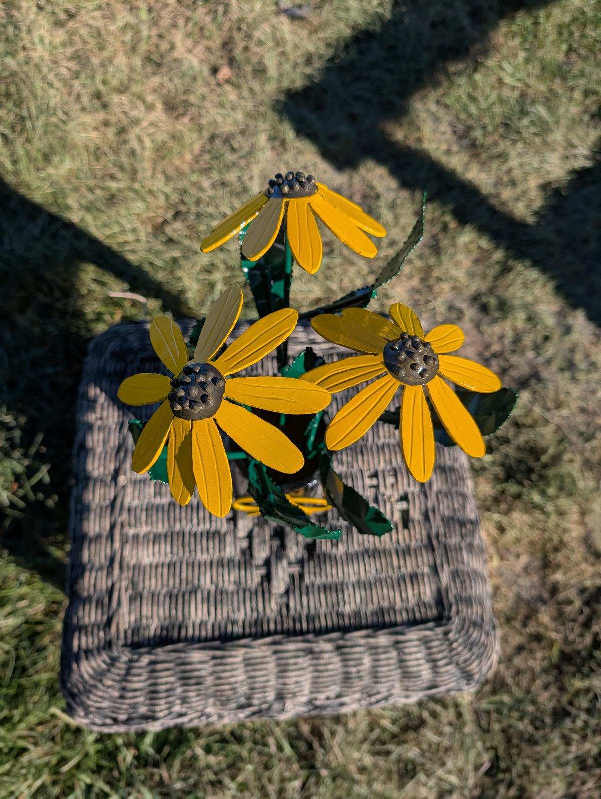 Black Eyed Susan flower
