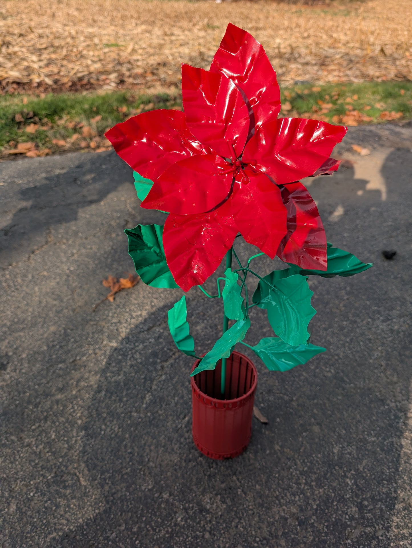 Poinsettia
