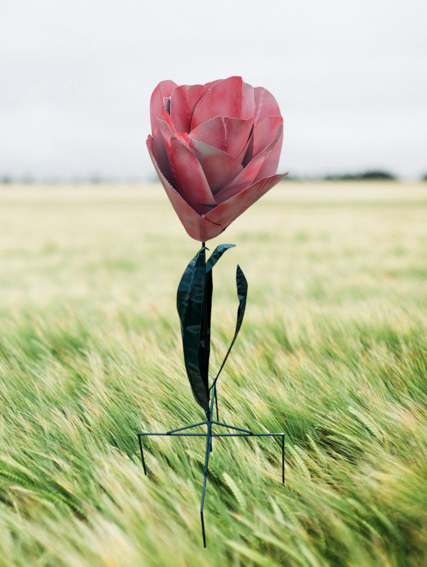 Eshys Pink Flower