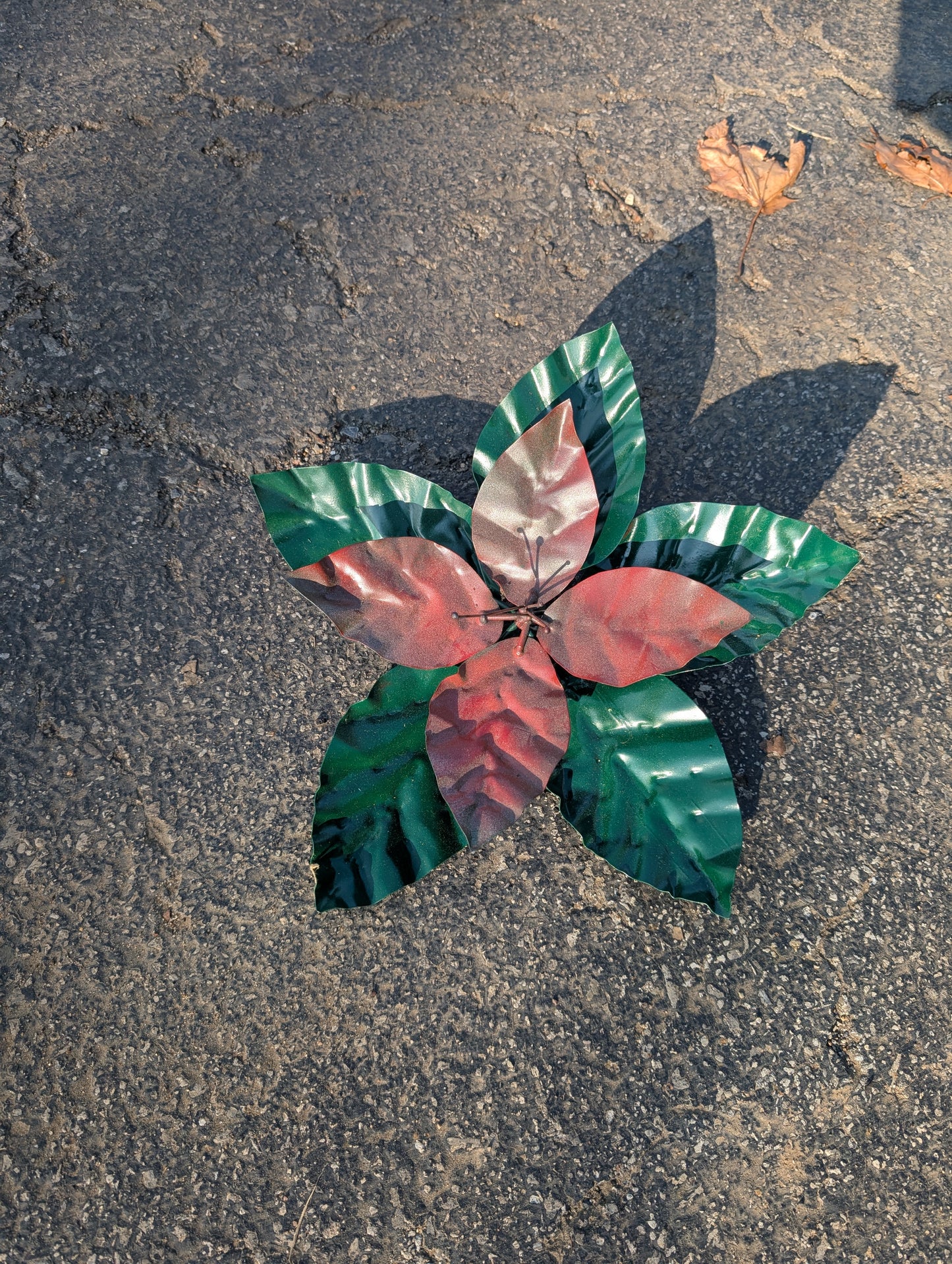 Poinsettia