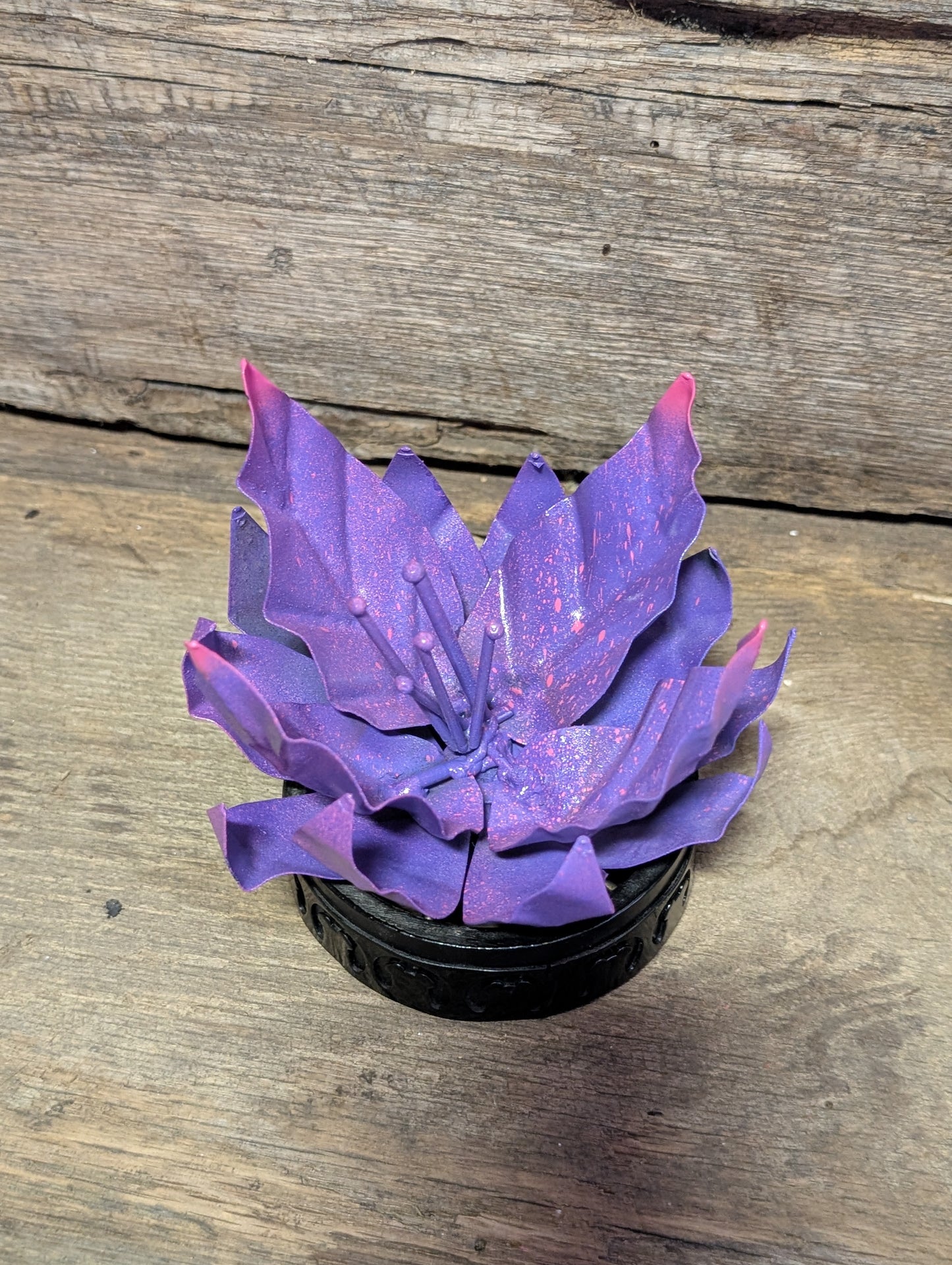 Spring flowers