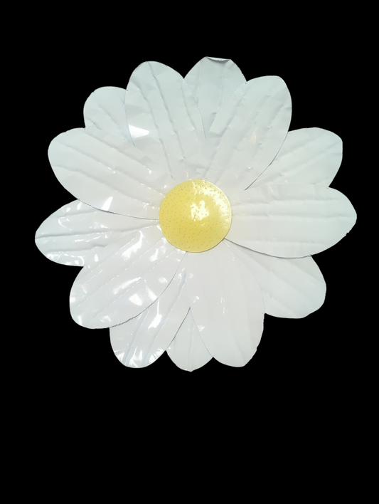 Daisy Head