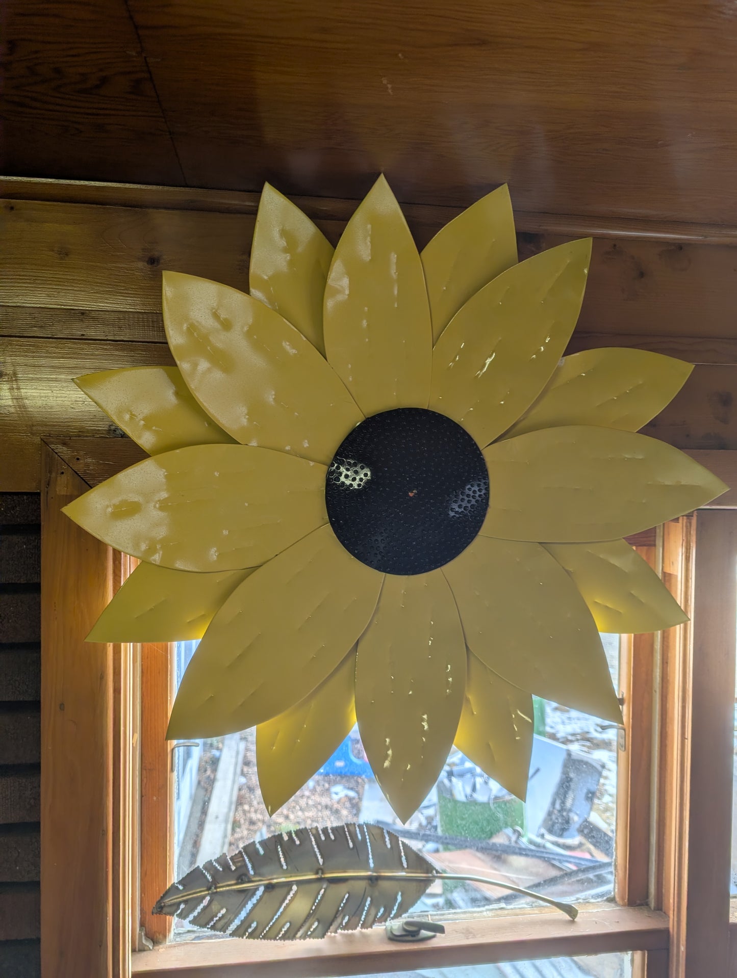Sunflower head