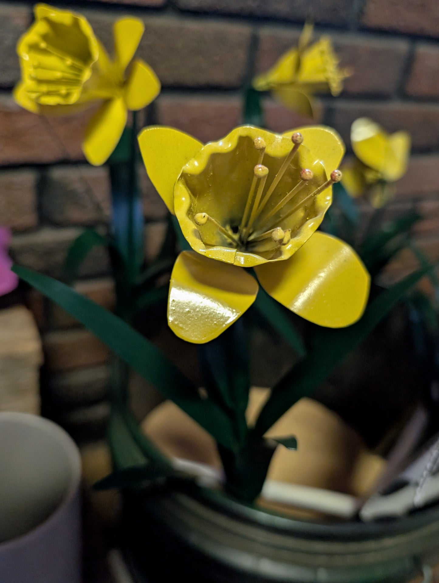 Spring flowers