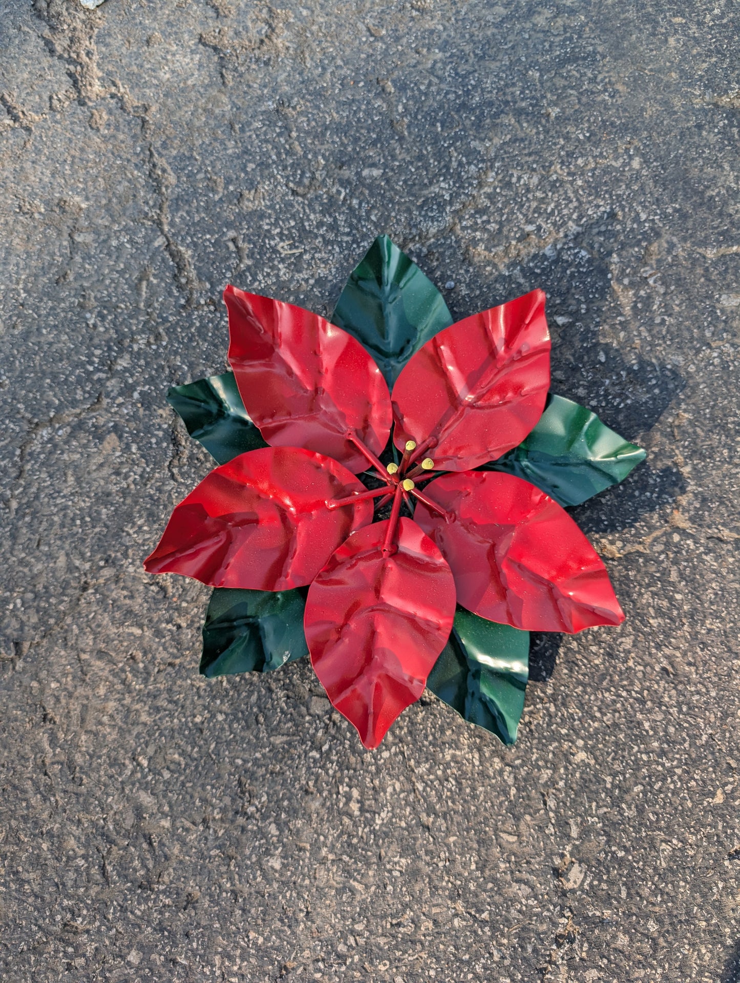 Poinsettia