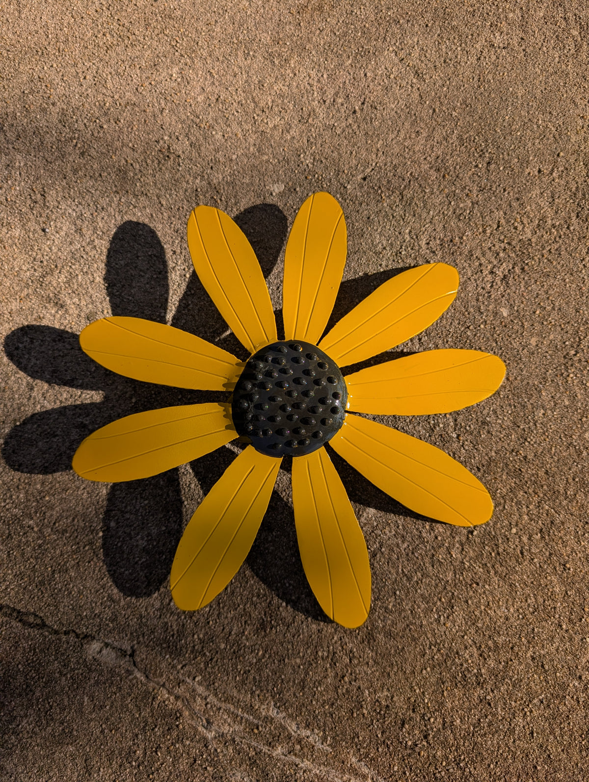 Black Eyed Susan flower