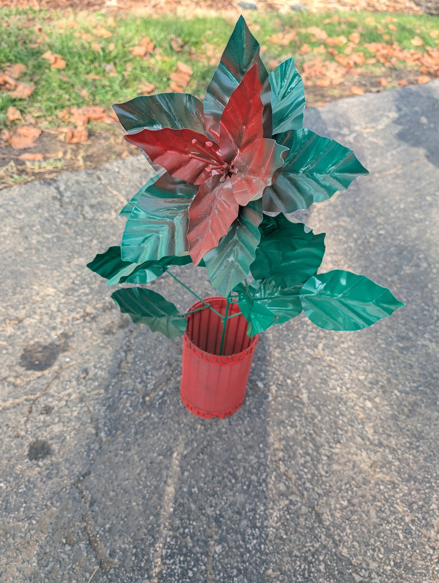 Poinsettia