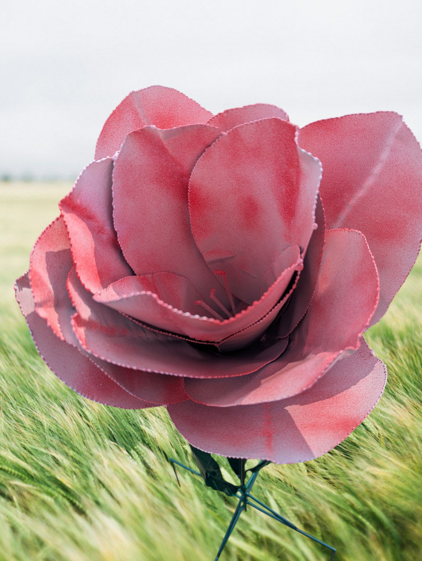 Eshys Pink Flower